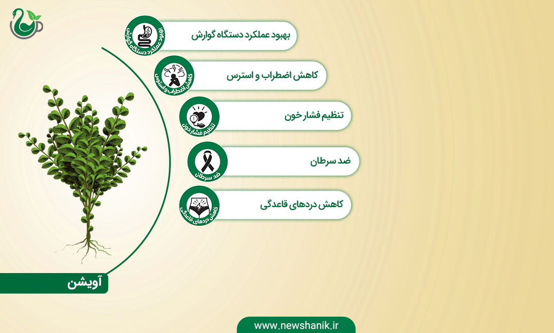 خواص آویشن نیوشا