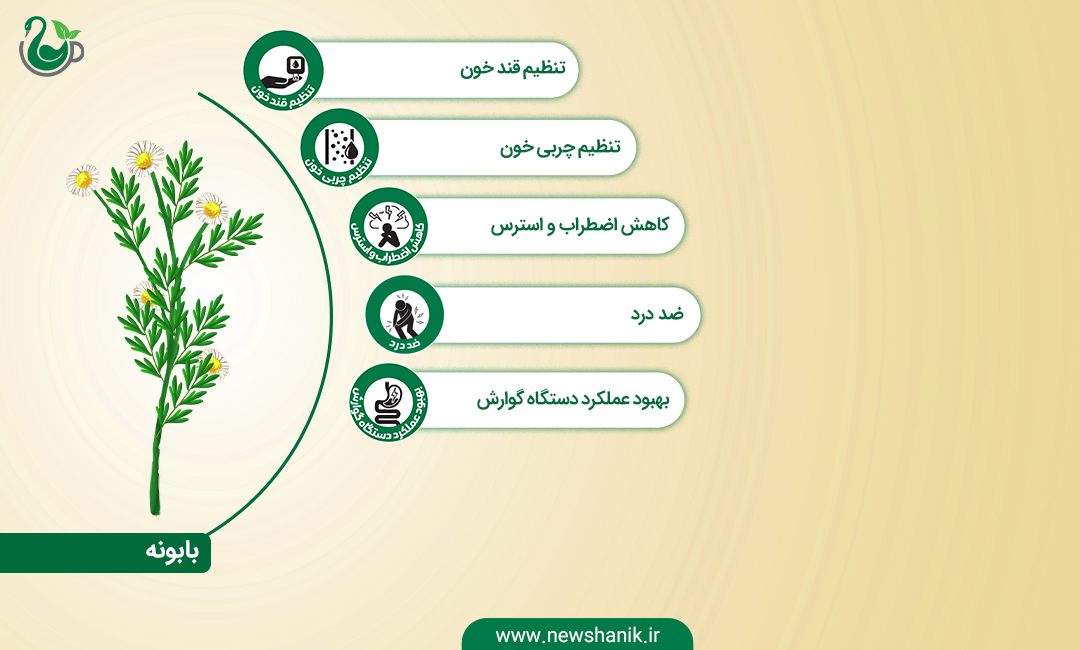 خواص بابونه نیوشا