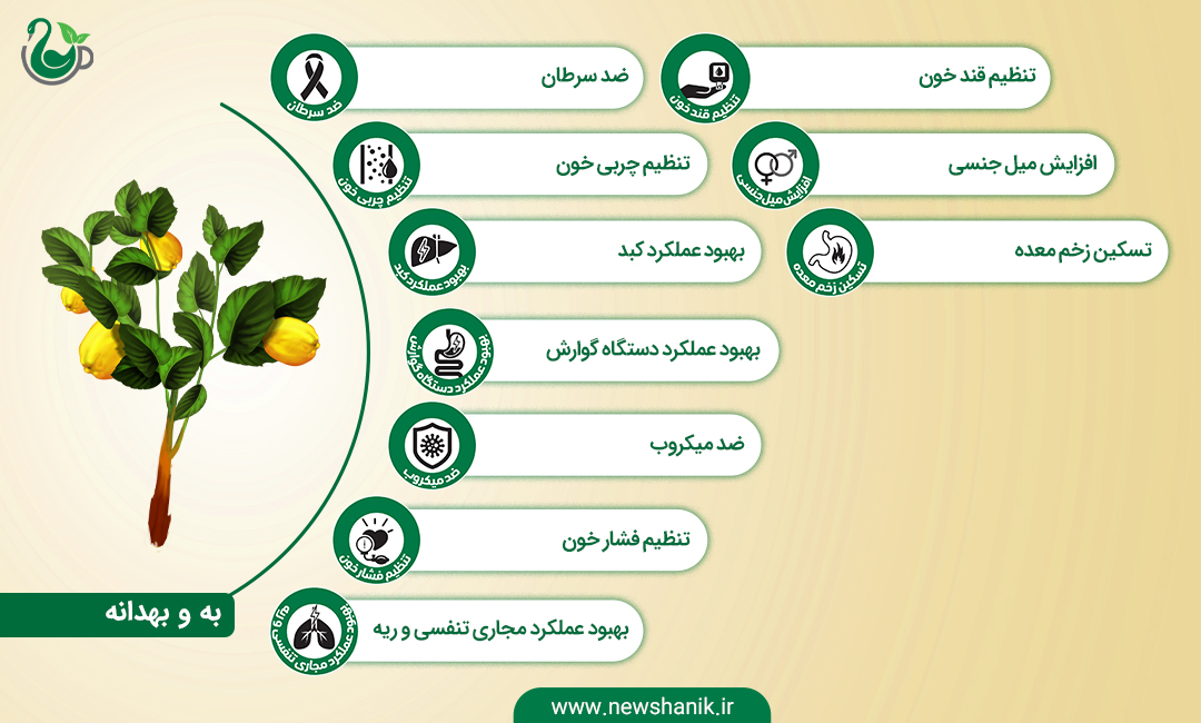 خواص به و بهدانه نیوشا