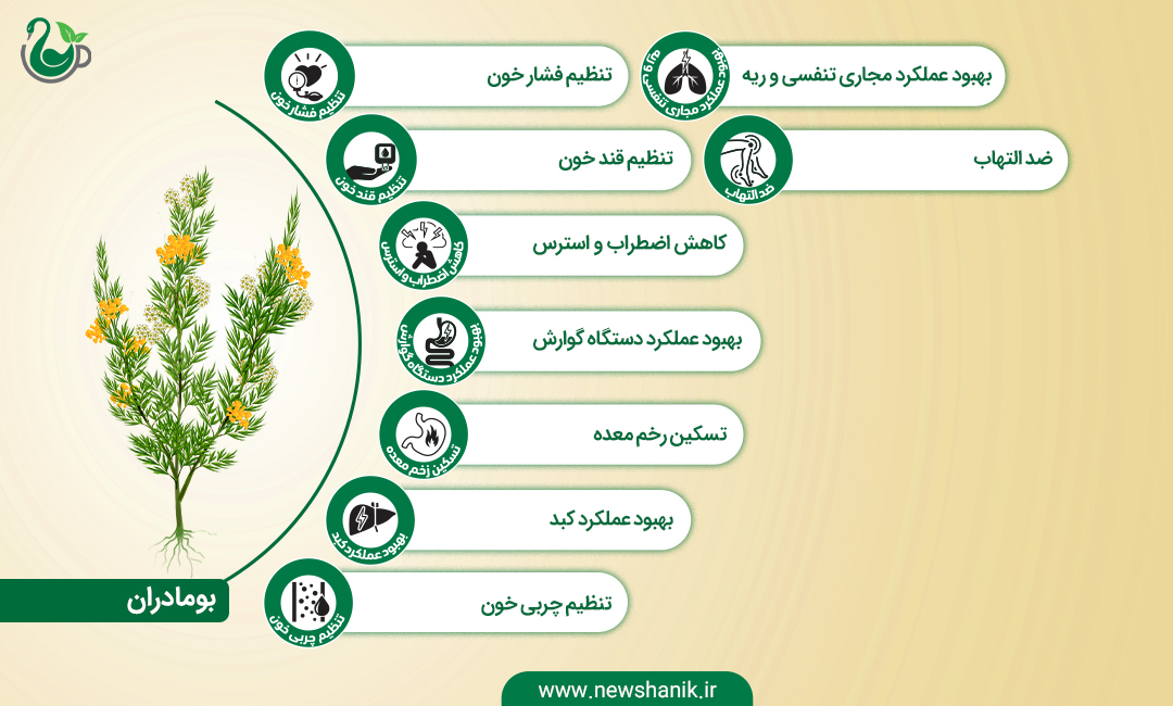 خواص بومادران نیوشا