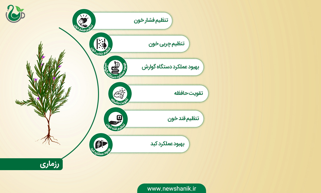 خواص رزماری (اکلیل کوهی) نیوشا