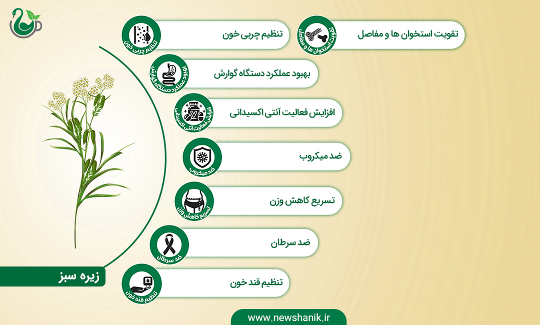 خواص زیره سبز نیوشا
