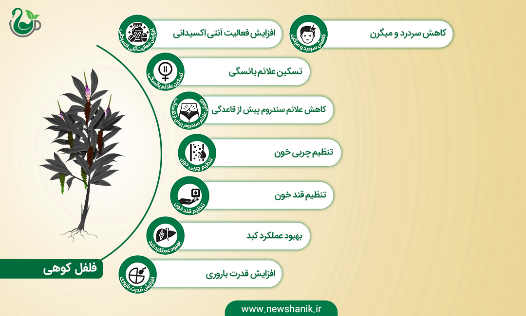 خواص فلفل کوهی (پنج انگشت) نیوشا