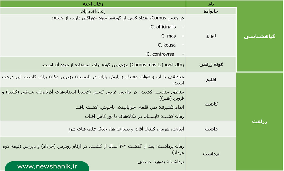 گیاهشناسی و نحوه زراعت (کاشت، داشت، برداشت) زغال اخته