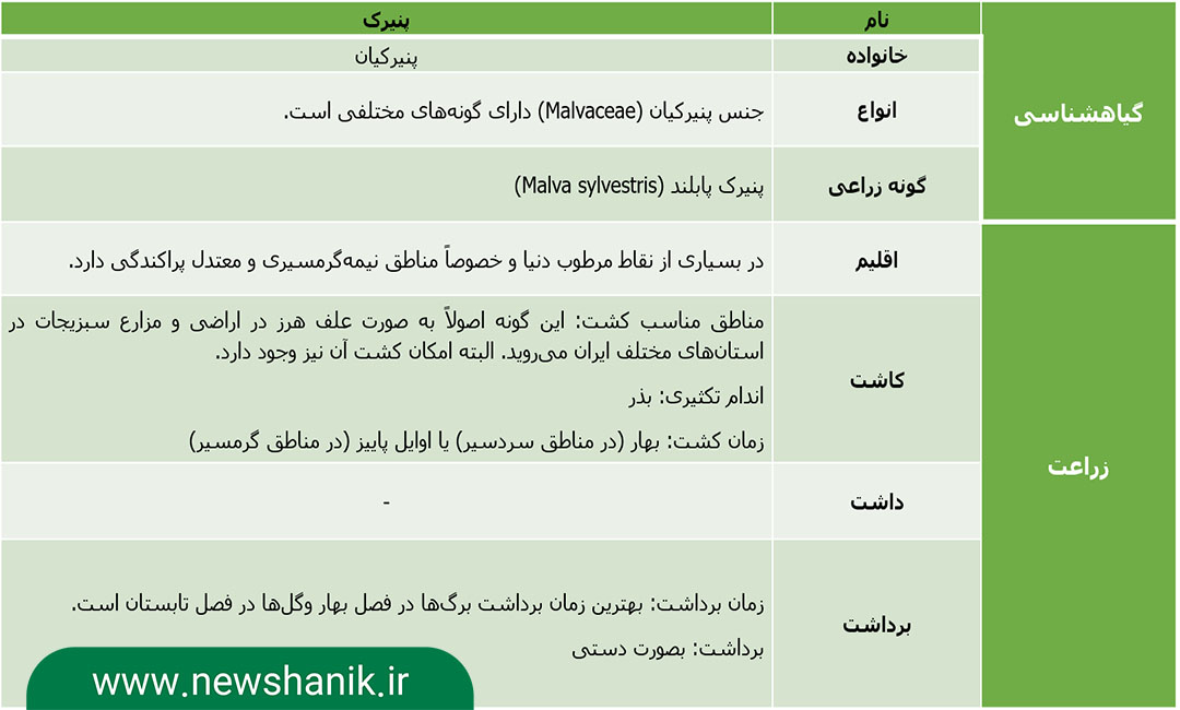 گیاهشناسی و نحوه زراعت (کاشت، داشت، برداشت) پنیرک