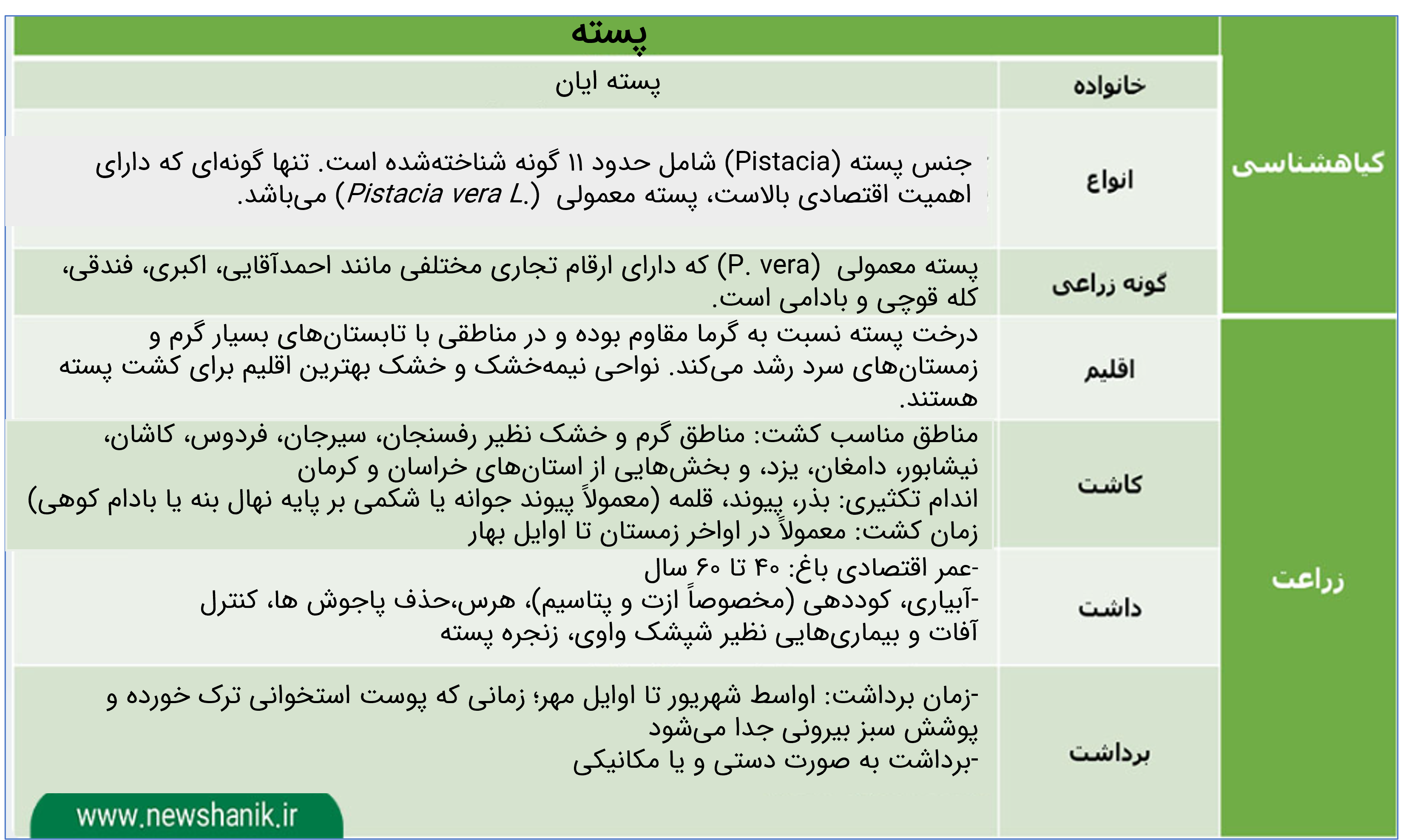 گیاهشناسیونحوهزراعت(کاشت،داشت،برداشت)پسته